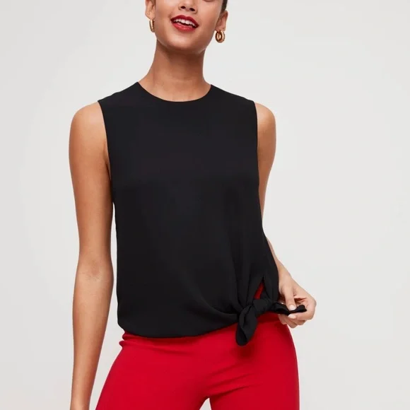 Babaton Hopkins Blouse (Aritzia) - Picture 2 of 7